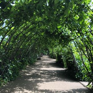 Meet your Posher, Gianna